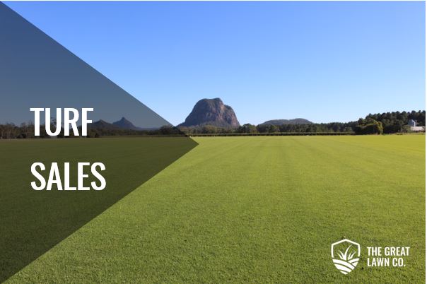 Holmview Turf Sales_Free Quote_Buy buffalo couch zoysia turf online delivery turf farm_The Great Lawn Company Ipswich