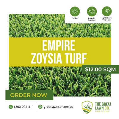 Empire Zoysia Turf Brisbane Gold Coast Redlands Ipswich Logan City Beaudesert Walloon