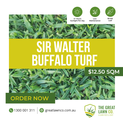 Sir Walter Buffalo Turf Walloon Ipswich Redlands Logan Jimboomba Gold coast Logan Redlands