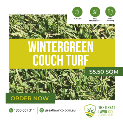 Wintergreen Couch Brisbane Redlands Logan Ipswich Gold coast