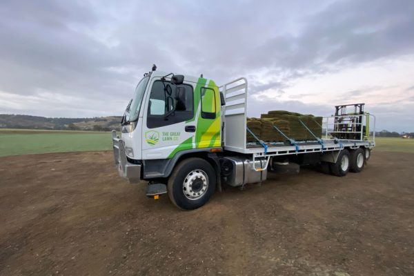 Beeleigh turf delivery laying quality turf buffalo local turf farm zoysia blue couch wintergreen turf truck delivery