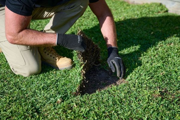 Acacia Ridge Turf Laying Company Great Reviews Reliable